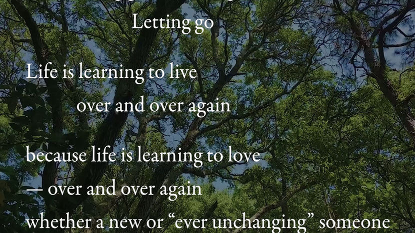 Life is learning how to live (text version)